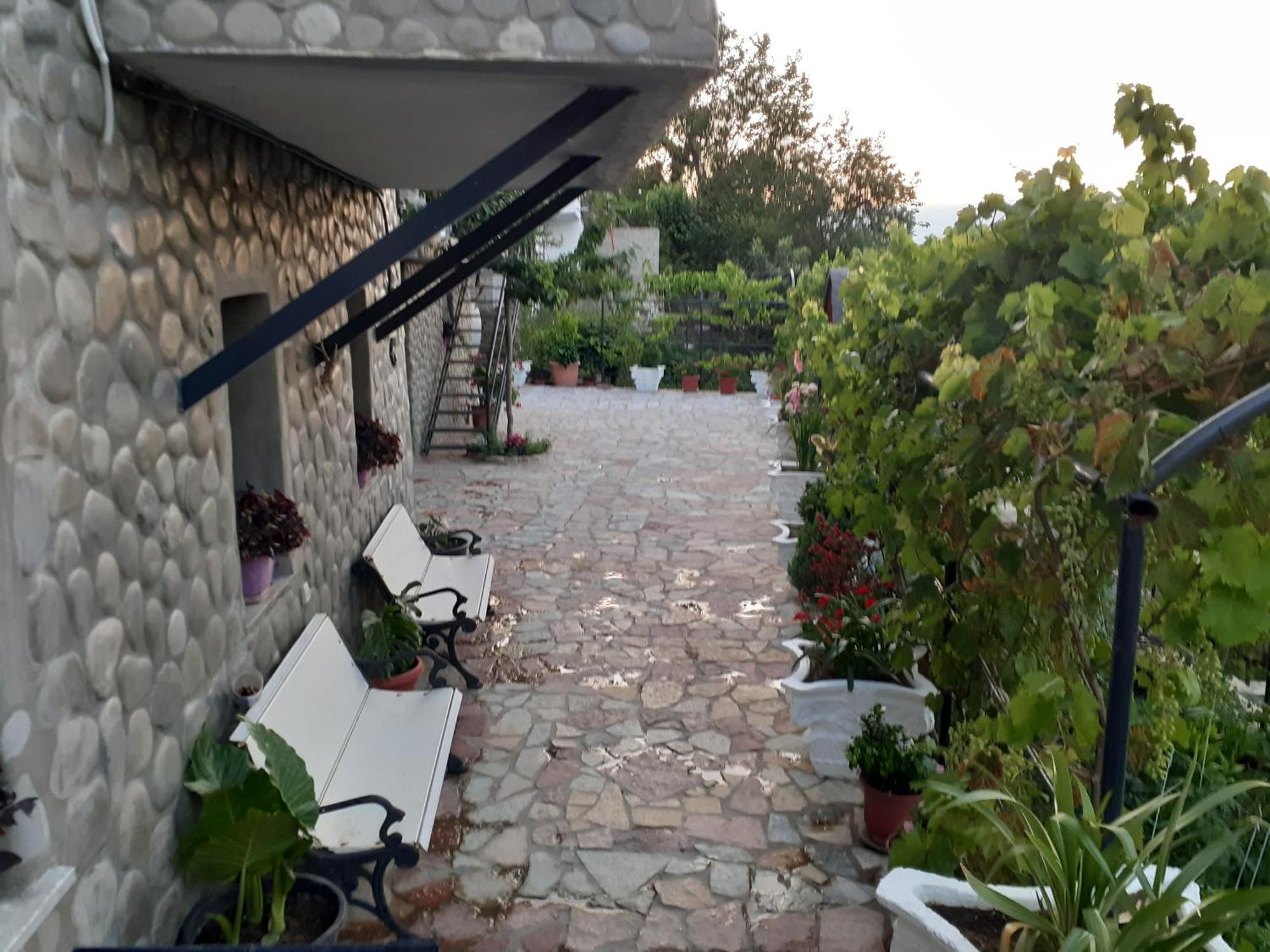 Guest house Bixhaku *