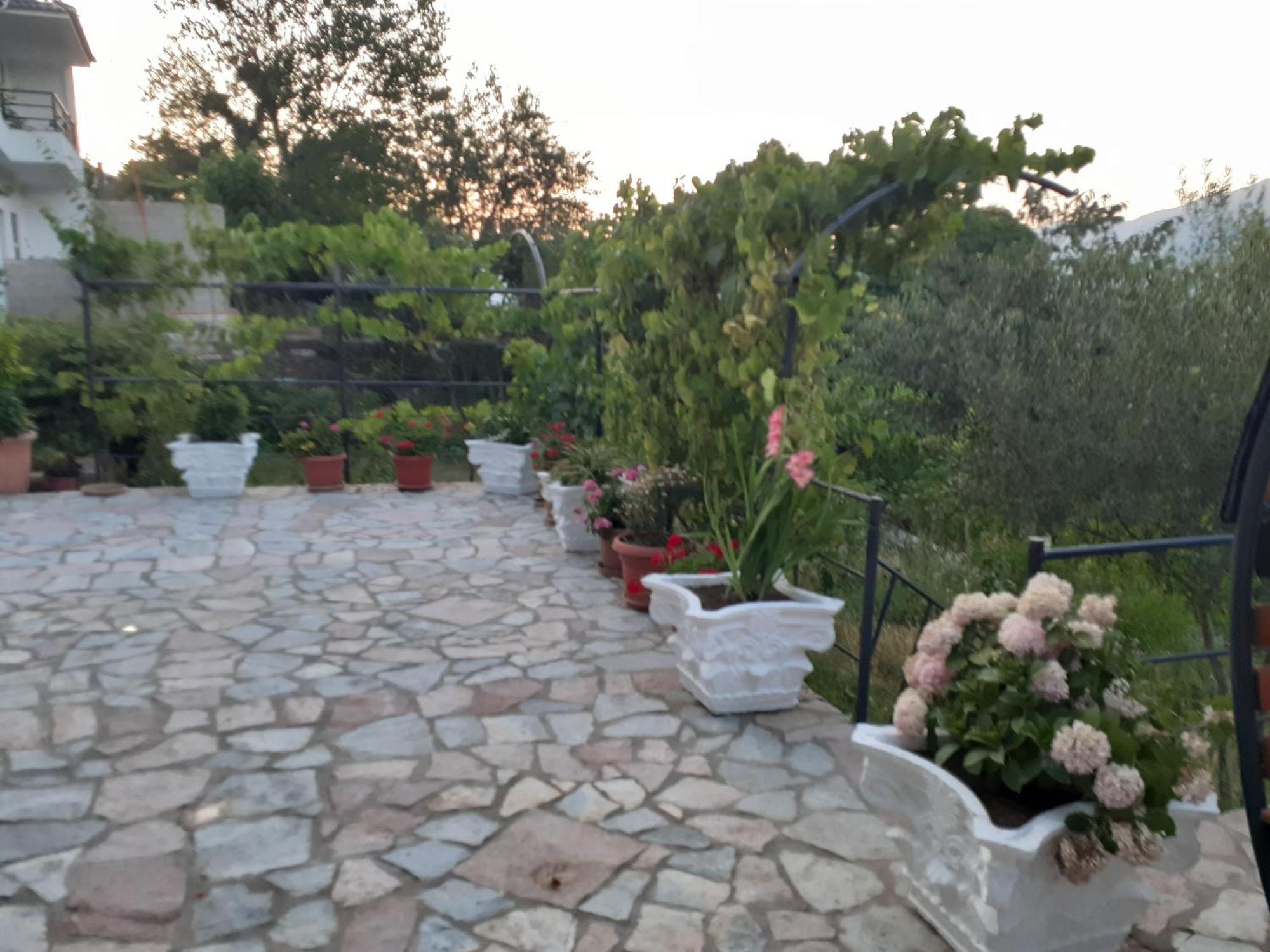 Guest house Bixhaku Gjirokaster