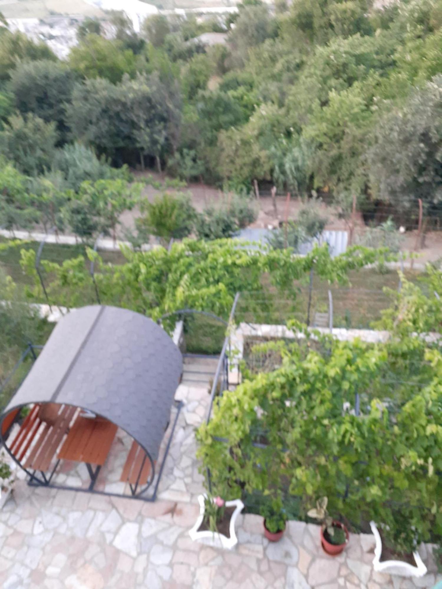 Guest house Bixhaku